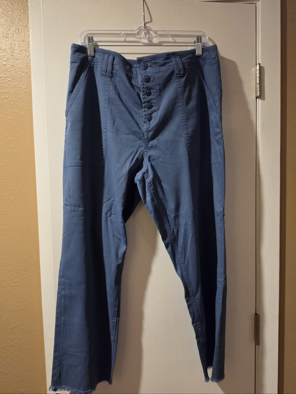 Liverpool Los Angeles Button Fly Wide Leg Raw Hem Crop Pants Queen Blue Size 16